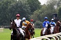 Ascot Renntag09   104